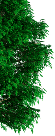 photo photo